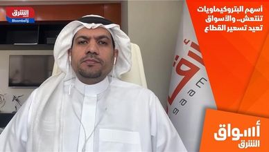 أسهم البتروكيماويات تنتعش.. والأسواق تعيد تسعير القطاع
