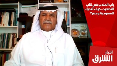 باب المندب في قلب التصعيد.. كيف تتحرك السعودية ومصر؟