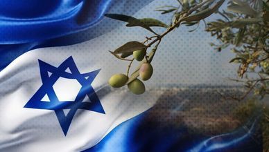 موسم الزيتون بالضفة يتحول إلى مواجهة مع المستوطنين والجيش الإسرائيلي