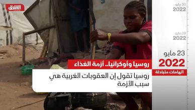 روسيا وأوكرانيا .. أزمة الغذاء