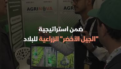 استثمارات بالمليارات لتحقيق الأمن الغذائي المغربي