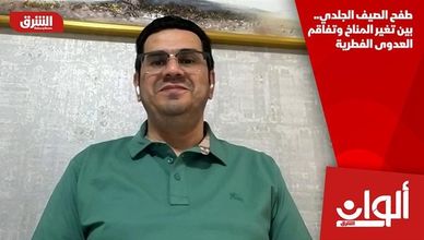 طفح الصيف الجلدي.. بين تغير المناخ وتفاقم العدوى الفطرية