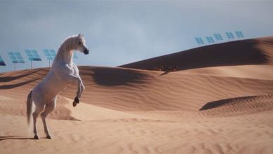 قمة المناخ في دبي