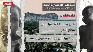 كادوقلي والدلنج.. تنوع ثقافي وطبيعي واقتصادي