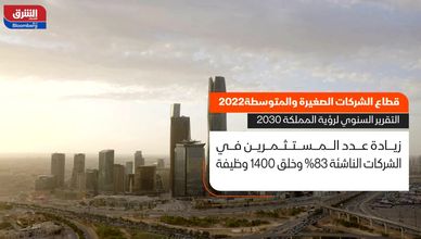 قطاع الشركات الصغيرة والمتوسطة 2022 .. التقرير السنوي لرؤية المملكة 2030