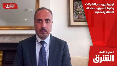 أوروبا بين دعم الشركات وضبط السوق.. معادلة اقتصادية صعبة