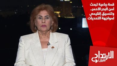 قمة رباعية تبحث أمن البحر الأحمر.. وتنسيق إقليمي لمواجهة التحديات
