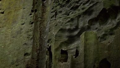 سر الدم والبقاء