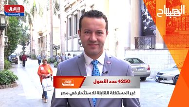 4250 عدد الأصول غير المستغلة القابلة للاستثمار في مصر