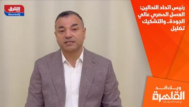 رئيس اتحاد النحالين: العسل المصري عالي الجودة.. والتشكيك تضليل