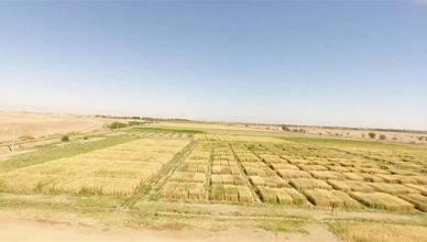 "الولاية الشمالية".. أكبر الولايات السودانية