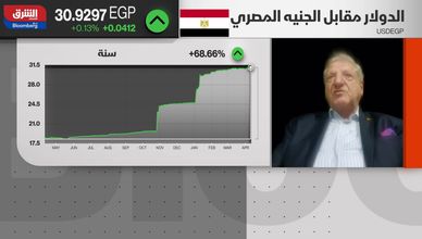 د. فخري الفقي: برنامج الطروحات مفتاح الحل للاقتصاد المصري