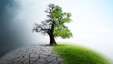 من نوى الجليد إلى نيران الغابات.. هل تجاوزنا الخط الأحمر للمناخ؟