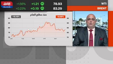  خبير: لا يمكن جمع كافة دول "أوبك" ضمن مسار واحد من الإنتاج