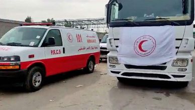 هاني الشاعر: دخول 200 شاحنة مساعدات لقطاع غزة