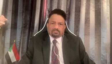 عبد العزيز: هناك طرف مجهول دائما ما يقوم بتأجيج الصراع في دارفور