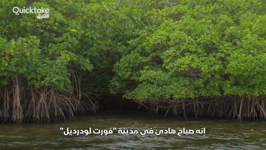 مفتاح المستقبل.. قوارب ذكية لإصلاح الجسور