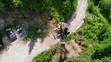 زيارات الدببة