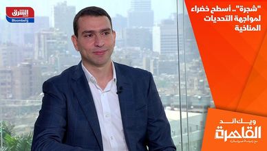 "شجرة".. أسطح خضراء لمواجهة التحديات المناخية