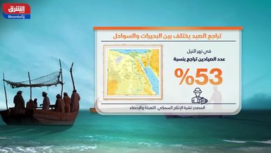 مصر تواجه تراجع الصيد البحري.. والاستزراع يعوض الخسائر