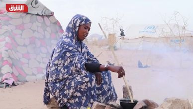 من المعارك إلى الجوع.. مأساة نازحي الفاشر تتفاقم في "طويلة"