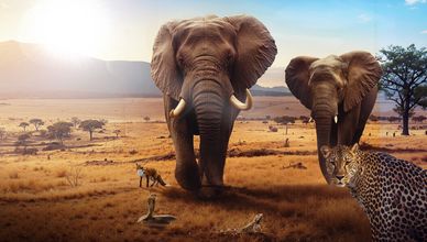 الحيوان الكامن