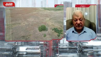 خبير: التغير المناخي لا يعرف الحدود.. والعدالة غائبة