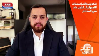 بتكوين والمؤسسات الأميركية.. تباين حاد في المخاطر