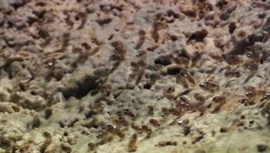 أسرار المدينة الغارقة