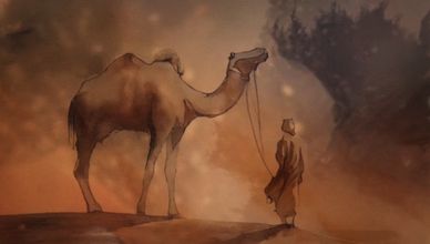 الإبل.. سفينة الصحراء والروح