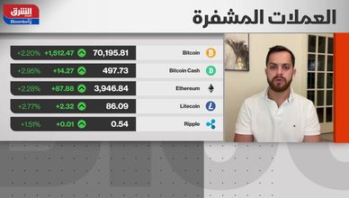 ما العملات المشفرة التي ستجتذب المستثمرين الجدد؟