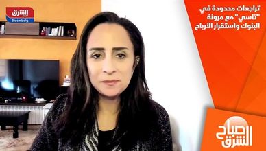 تراجعات محدودة في "تاسي" مع مرونة البنوك واستقرار الأرباح