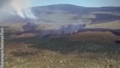 بركان "وولف"