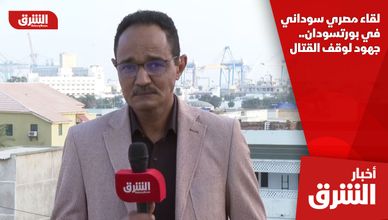 لقاء مصري سوداني في بورتسودان.. جهود لوقف القتال