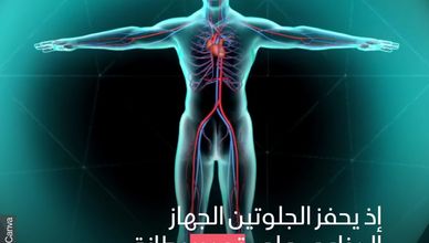 الأطعمة الخالية من الجلوتين