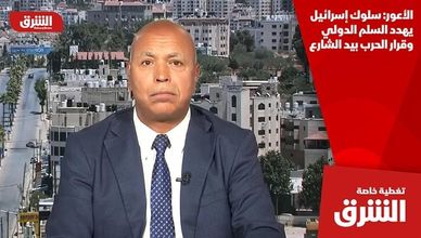 الأعور: سلوك إسرائيل يهدد السلم الدولي وقرار الحرب بيد الشارع