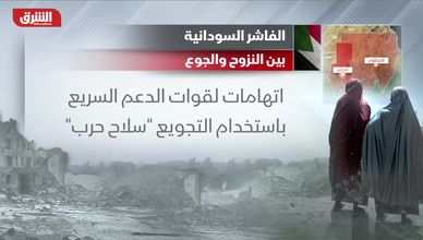 الفاشر السودانية.. بين النزوح والجوع