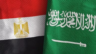 تفويض مصري لدعم السعودية.. والجيش اليمني ينفذ مئات الضربات
