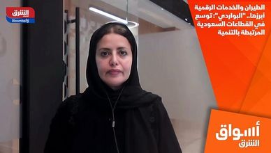 الطيران والخدمات الرقمية أبرزها.. "البواردي": توسع في القطاعات السعودية المرتبطة بالتنمية