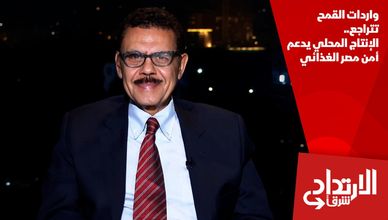 واردات القمح تتراجع.. الإنتاج المحلي يدعم أمن مصر الغذائي