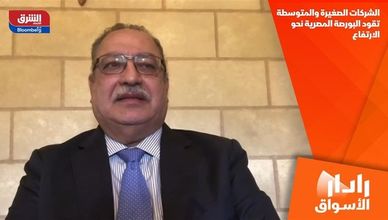 الشركات الصغيرة والمتوسطة تقود البورصة المصرية نحو الارتفاع