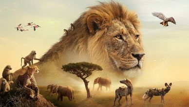 الحياة البرية