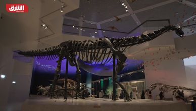 متحف التاريخ الطبيعي في أبوظبي.. رحلة علمية من نشأة الأرض إلى مستقبل الكوكب