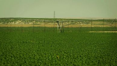 مصر تزرع 4 ملايين فدان للوصول بصادراتها إلى 20 مليار دولار في 2030