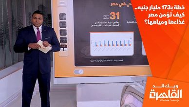 خطة بـ173 مليار جنيه.. كيف تؤمن مصر غذاءها ومياهها؟