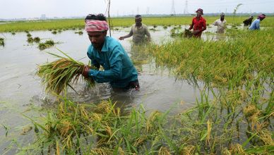 الأمن الغذائي العالمي.. رهينة لمضيق هرمز