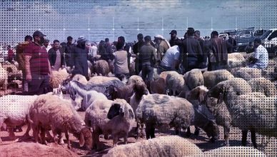 أسعار الأضاحي ترتفع في سوريا.. والإقبال يتراجع