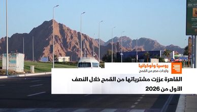 روسيا وأوكرانيا.. واردات مصر من القمح