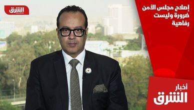 إصلاح مجلس الأمن ضرورة وليست رفاهية