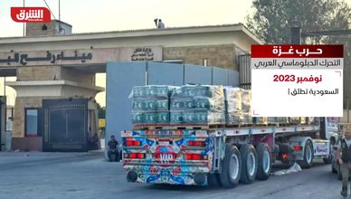 حرب غزة.. التحرك الدبلوماسي العربي
